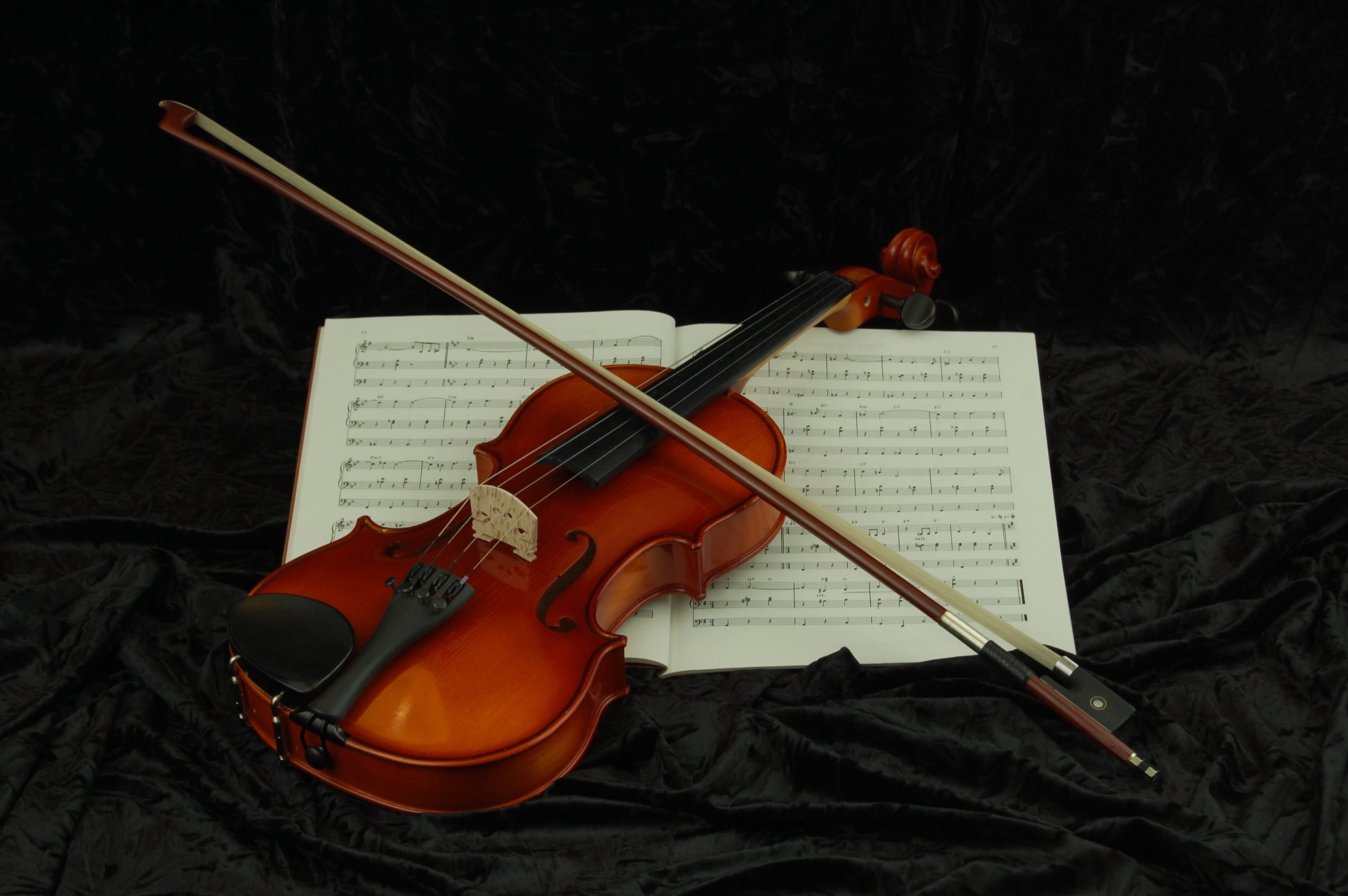 NS-20 Violin