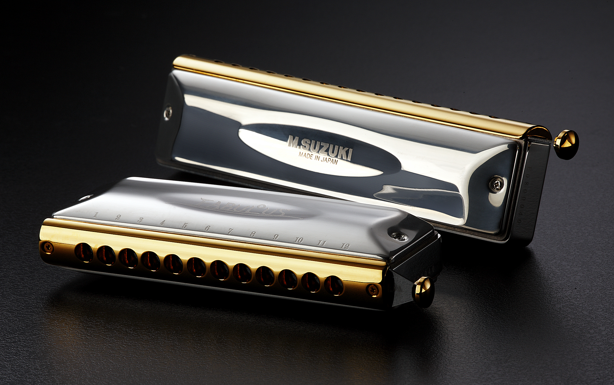 http://www.suzukiharmonicaworld.com/harmonicas/image_dir/FABULOUS%20image1.JPG