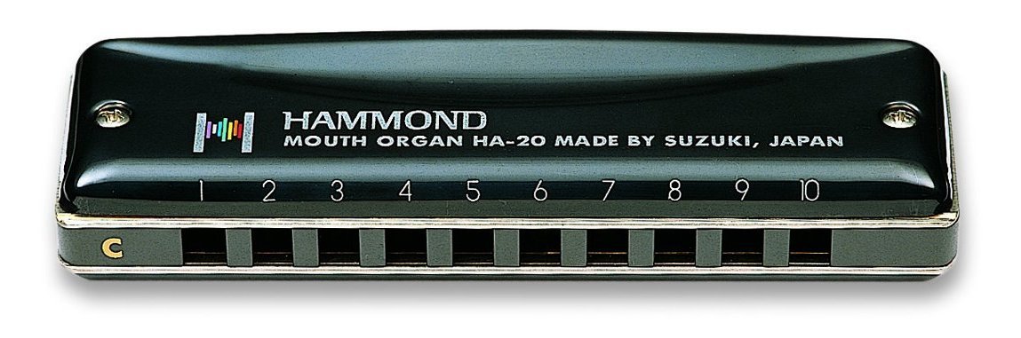 Suzuki MR-250 Bluesmaster Professional 10-Hole Diatonic Harmonica, Key of B Flat