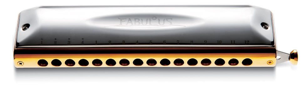 http://www.suzukiharmonicaworld.com/harmonicas/image_dir/f-64c.jpg