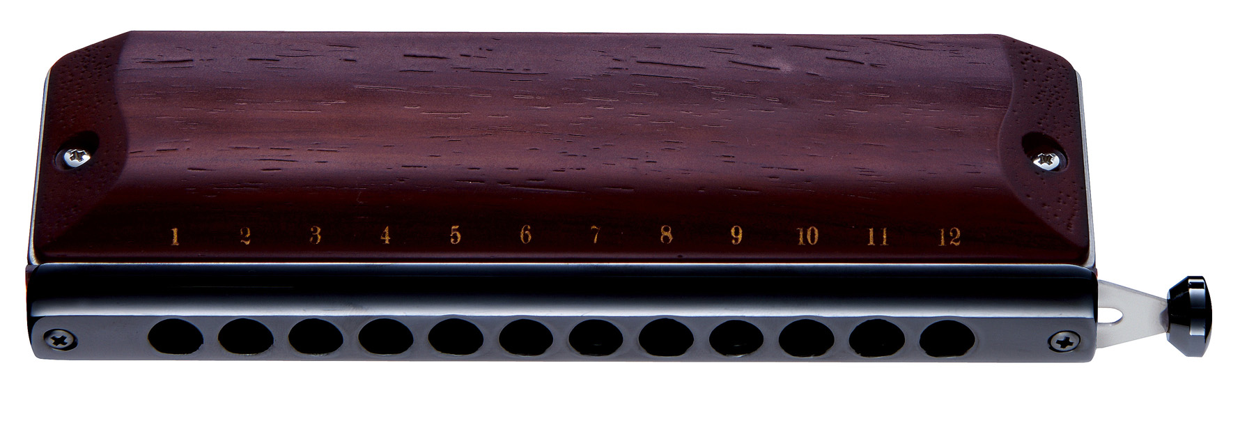 http://www.suzukiharmonicaworld.com/new-products/images/g-48w_1.jpg